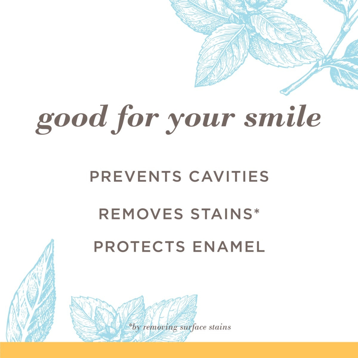 Extra White Fluoride Natural Toothpaste Mountain Mint